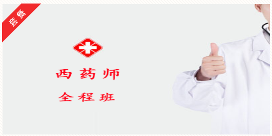 2027西药师全程班