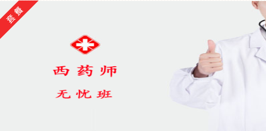 2027西药师无忧班
